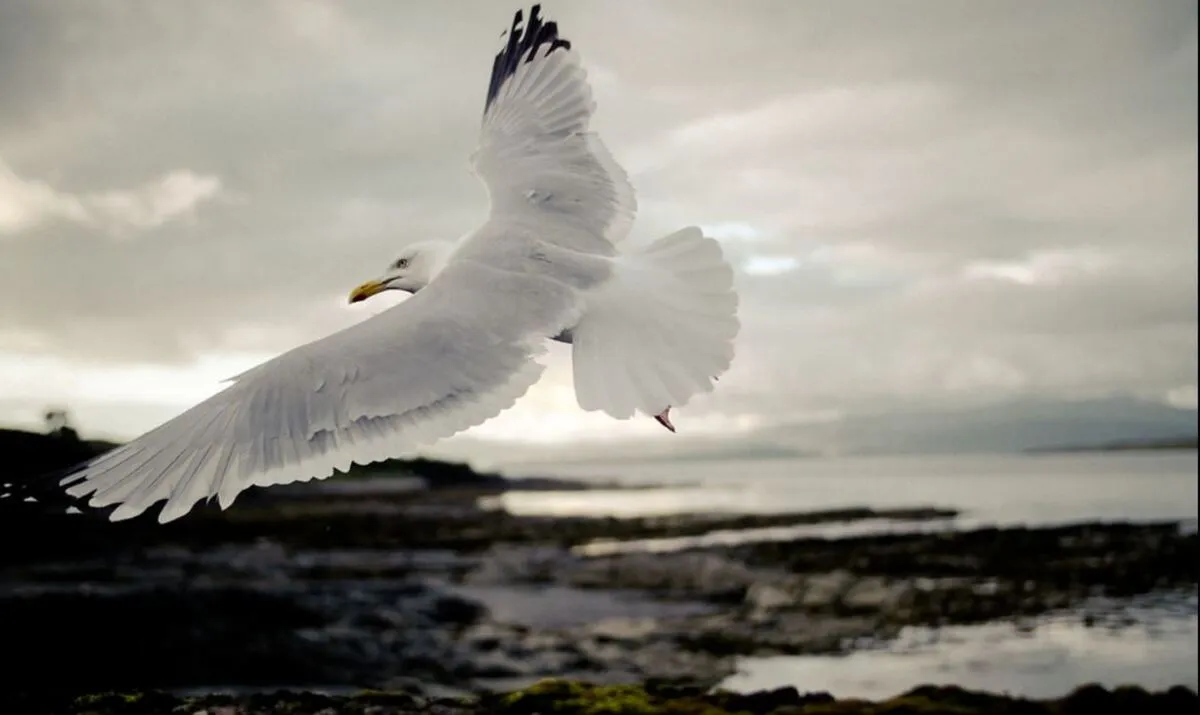Scotland2